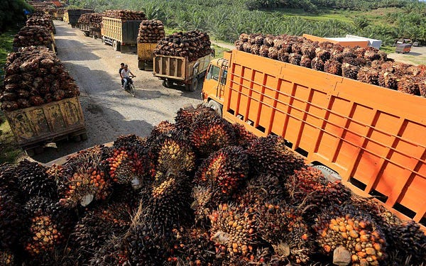 Credit: Business Times SG
https://www.businesstimes.com.sg/asean-business/indonesia-to-impose-local-sales-rule-when-palm-oil-exports-restart