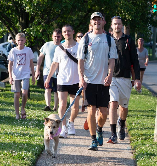 the retrieve mix is now walking down a sidewalk with her human by her side. there are about 10 other people walking behind them. all are visibly excited