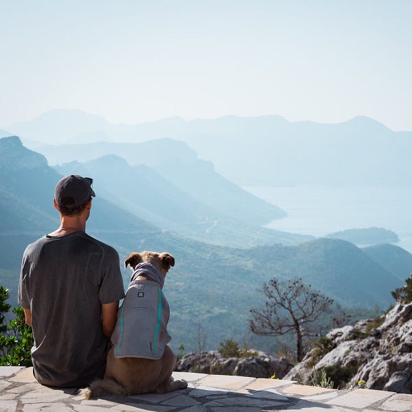 the retriever mix sits beside her human as they stare out across an incredible view where water is meeting mountains