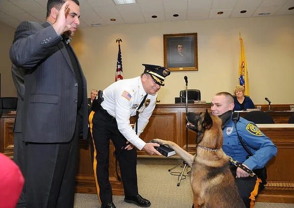 Police dog with paw on Bible in a courtroom, 2 officers and one man in a suit next to him
