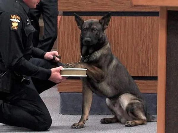 Police dog with paw on Bible