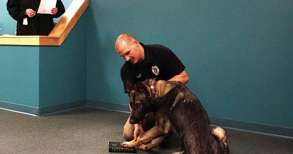 Police dog with paw placed on Bible by an officer