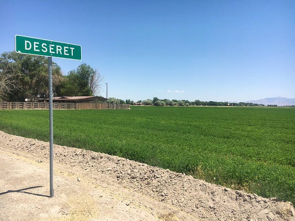 Photograph of a dirt road bordering lush green fields with a green location sign that reads Deseret.