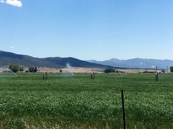 Photograph of lush green fields under blue skies. Huge industrial sprinklers water the fields.