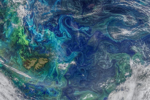 Swirling green and light blue patterns show phytoplankton blooms from space in the South Atlantic Ocean.
