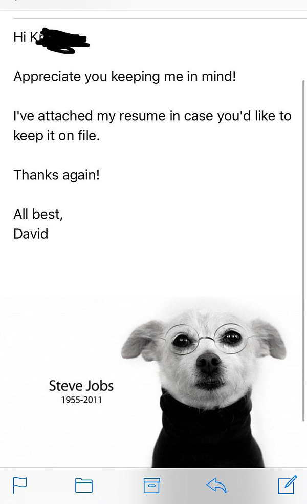 An email that reads: “Appreciate you keeping me in mind! I’ve attached my resume in case you’d like to keep it on file. Thanks again! All best, David”

At the bottom: a picture of a white dog dressed like Steve Jobs (in a black turtleneck and glasses) with text: Steve Jobs 1955-2011