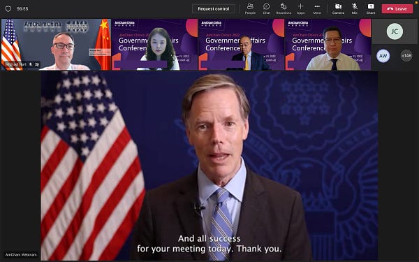 Screenshot featuring Ambassador Burns on-screen from virtual event.