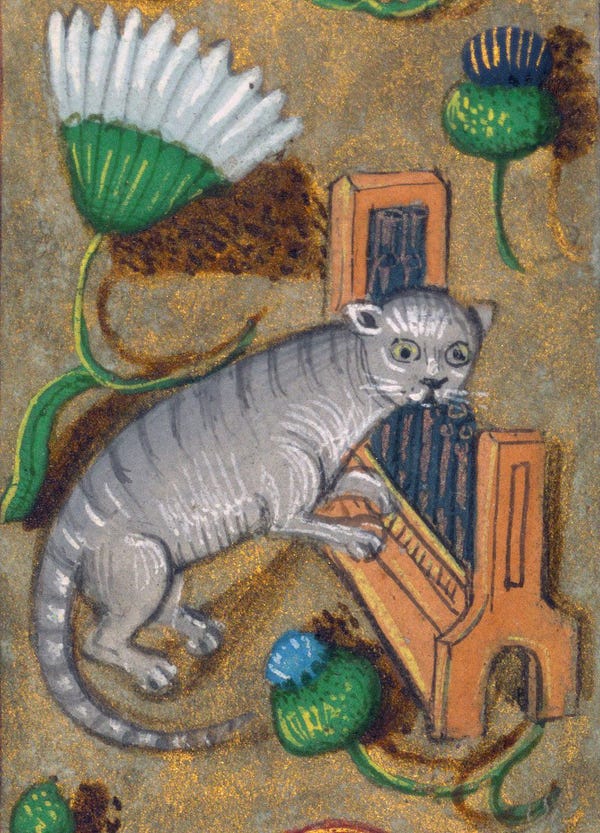 a medieval drawing of a cat going wild on the organ. Totally jammin out