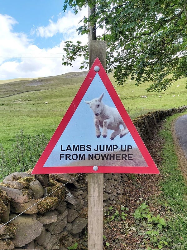 A road sign with a picture of a jumping lamb that reads "lambs jump up from nowhere".