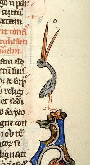A medieval drawing of a giant bird about to eat a tiny pellet