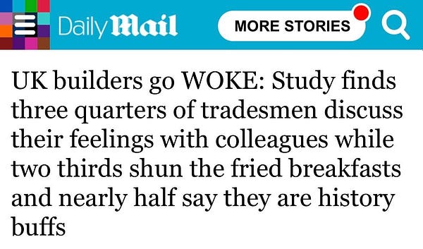 Daily Mail headline which reads: UK Builders go WOKE: Study finds three quarters of tradesmen discuss their feelings with colleagues while two thirds shun the fried breakfasts and nearly half say they are history buffs