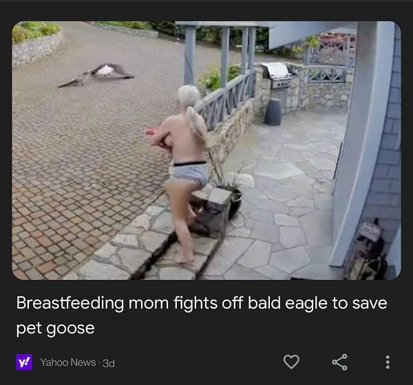 Headline breastfeeding mom fights off bald eagle to save pet goose