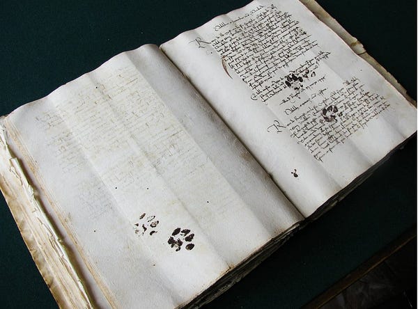 a photo of an open medieval manuscript with black pawprints on both pages, covering part of the handwritten text