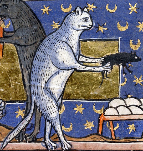 a medieval drawing of a white cat standing on its hind legs holding a mouse by the back legs as if it were a gun