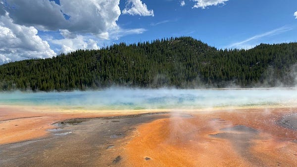 A picture of the Grand Prismatic Spring in Yellowstone National Park. Mats of yellow and orange thermophilic bacteria surround the steaming hot waters of the spring.