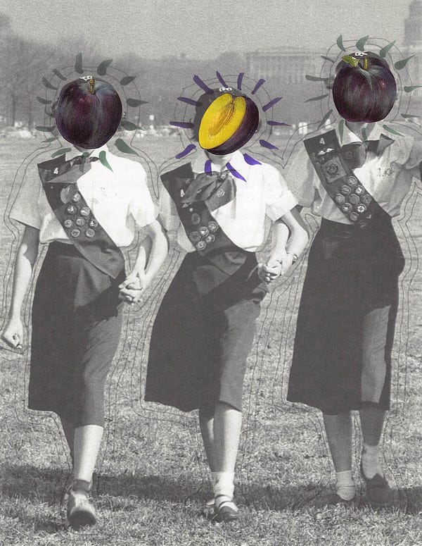 Collage of three Girl Scouts walking and holding hands with colorful plums as faces.