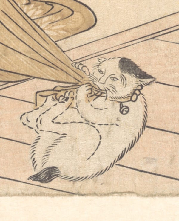 A zoomed-in view of the cat fiendishly grabbing and bunny-kicking the corner of the robe.