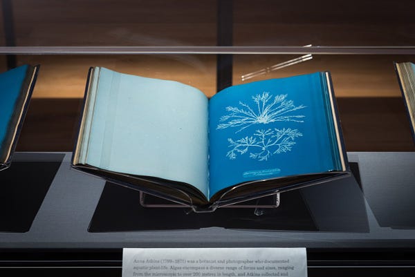 A photograph from the exhibition In The Air at Wellcome Collection. 

Inside a glass case, we see an open book displaying an image of white-blue algae against a rich blue background. 

The book is Anna Atkins's Photographs of British algae: cyanotype impressions Vol. 1, part 2- Laurencia pinnatifida (osmunita) H1902.