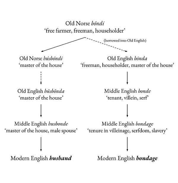 A diagram, black text on a white background. It begins with the Old Norse word bóndi (meaning farmer, freeholder, householder) and progresses down two paths through four stages to two of its descendant words in Modern English: husband and bondage.