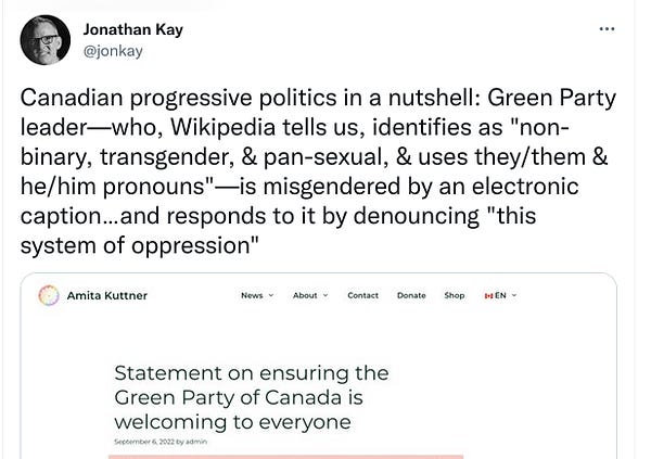 Tweet from Jonathan Kay that reads: Canadian progressive politics in a nutshell: Green Party leader—who, Wikipedia tells us, identifies as "non-binary, transgender, & pan-sexual, & uses they/them & he/him pronouns"—is misgendered by an electronic caption…and responds to it by denouncing "this system of oppression"