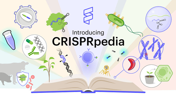 Illustration of textbook lying open with molecular biology icons streaming out of it. Text reads: Introducing CRISPRpedia