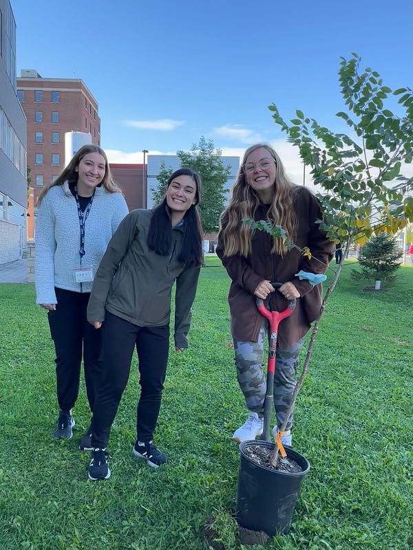 Hamilton Health Sciences’ Staff and Volunteers plant tees at Hamilton General Hospital during National Forest Week.