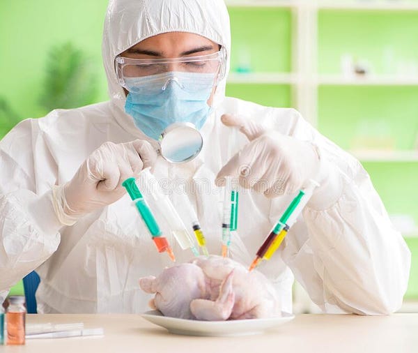 An uncooked but defrosted whole chicken sits on the table. It is pricked full of syringes half-filled with urine, making it look like the world’s buffet centrepiece. A scientist in full PPE studies it with a handheld magnifying glass and makes a gang sign.