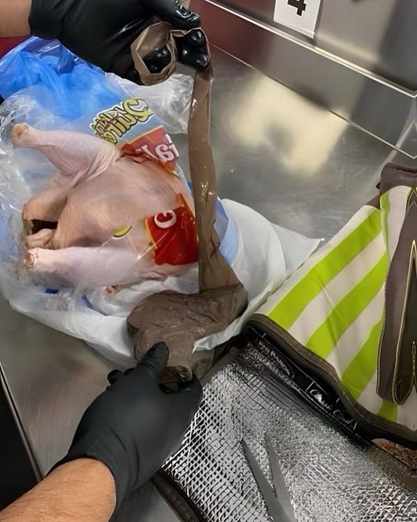 Firearm wrapped up removed from raw chicken 