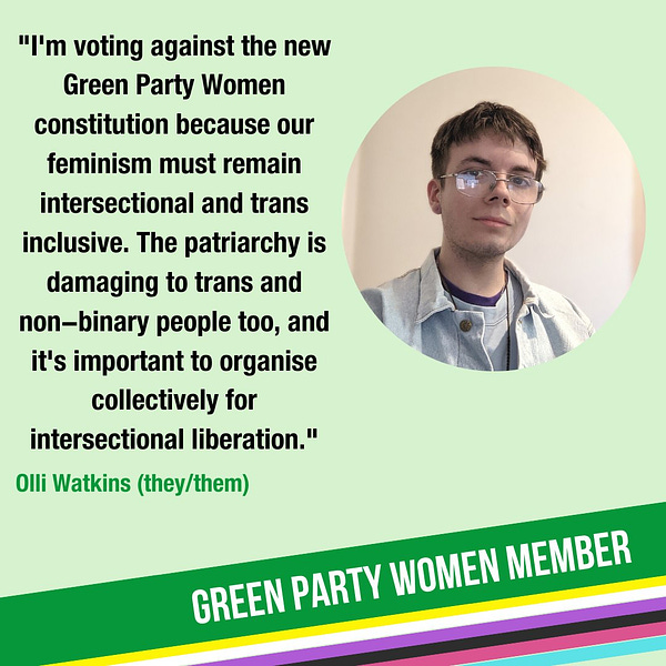 I'm voting against the new Green Party Women constitution because our feminism must remain intersectional and trans inclusive. The patriarchy is damaging to trans and non-binary people too, and it's important to organise collectively for intersectional liberation.