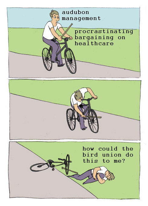 bike fall meme - first panel: bicyclist called "audubon management" holding stick titled "procrastinating bargaining on healthcare." second panel: bicyclist puts stick in wheels of bike. third panel: bicyclist on ground saying "how could the bird union do this to me?"