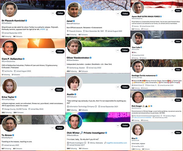 collage of the profiles of 13 Twitter accounts with GAN-generated faces and blue checkmarks