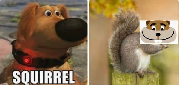 Meme from the movie Up with Doug the dog getting distracted by a squirrel, which is really Goldy Gopher.