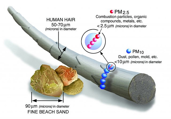 Image showing difference in size of a human hair, fine beach sand, and PM2.5 and PM10 particles. Image from: https://www.epa.gov/pm-pollution/particulate-matter-pm-basics