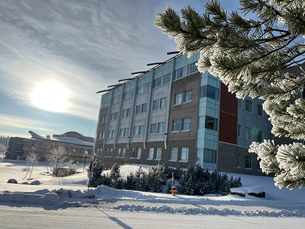 The sun shines over the Donald Rix Northern Health Science Centre and the Teaching and Learning building, a snow-covered tree needles frame the photo. 