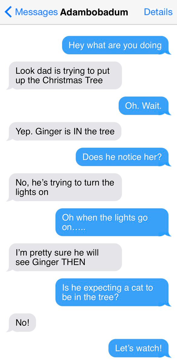 < Messages Adambobadum
Details
Hey what are you doing
Look dad is trying to put up the Christmas Tree
Oh. Wait.
Yep. Ginger is IN the tree
No, he's trying to turn the lights on
Does he notice her?
Oh when the lights go on...
I'm pretty sure he will see Ginger THEN
Is he expecting a cat to be in the tree?
No!
Let's watch!