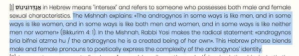 Text in project description written by Carla Rossi that reads: "The Mishnah explains: «The androgynos in some ways is like men, and in some ways is like women, and in some ways is like both men and women, and in some ways is like neither men nor women» (Bikkurim 4: 1). In the Mishnah, Rabbi Yosi makes the radical statement: «androgynos bria bifnei atzma hu / the androgynos he is a created being of her own». This Hebrew phrase blends male and female pronouns to poetically express the complexity of the androgynos’ identity."