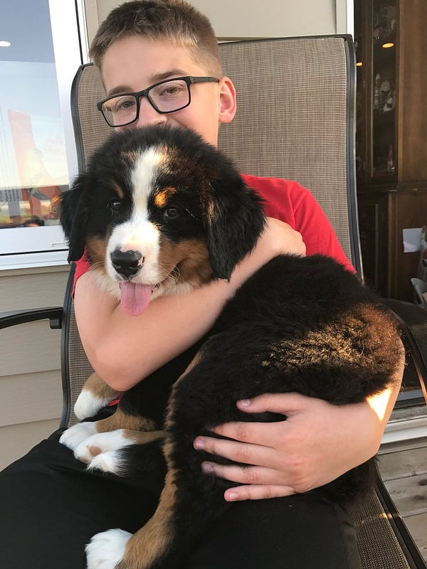 A young boy holding a GIANT puppy.  They are both SO happy!