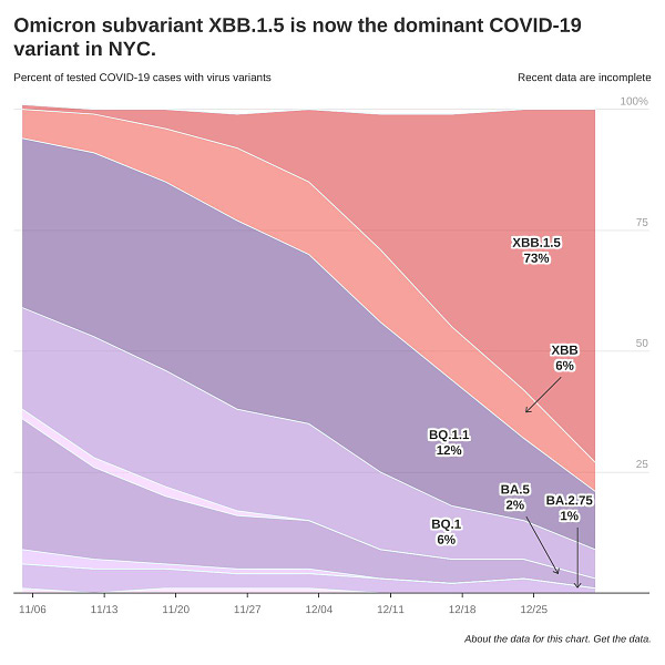 Area chart showing the percent of tested COVID-19 cases with virus variants in N Y C. Text reads: Omicron subvariant X B B.1.5 is now the dominant COVID-19 variant in N Y C.  X B B.1.5 makes up 73% of cases, X B B makes up 6%, B Q.1.1 makes up 12%, B Q.1 makes up 6%, B A.5 makes up 2%, while B A.2.75 makes up 1%.