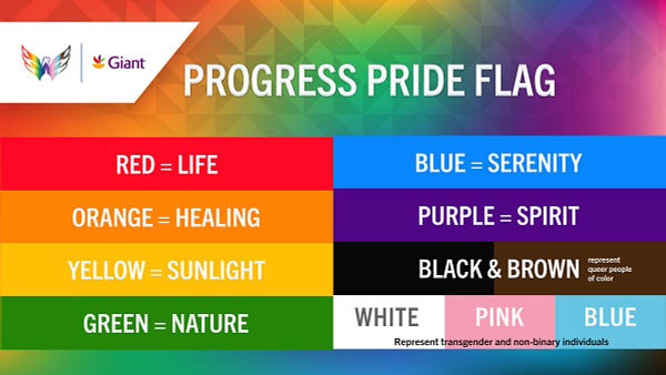 Progress Pride Flag.

Red = Life, Orange = Healing, Yellow = Sunlight, Green = Nature, Blue = Serenity, Purple = Spirit, Black & Brown represent queer people of color, White & Pink & Blue represent transgender and non-binary individuals.