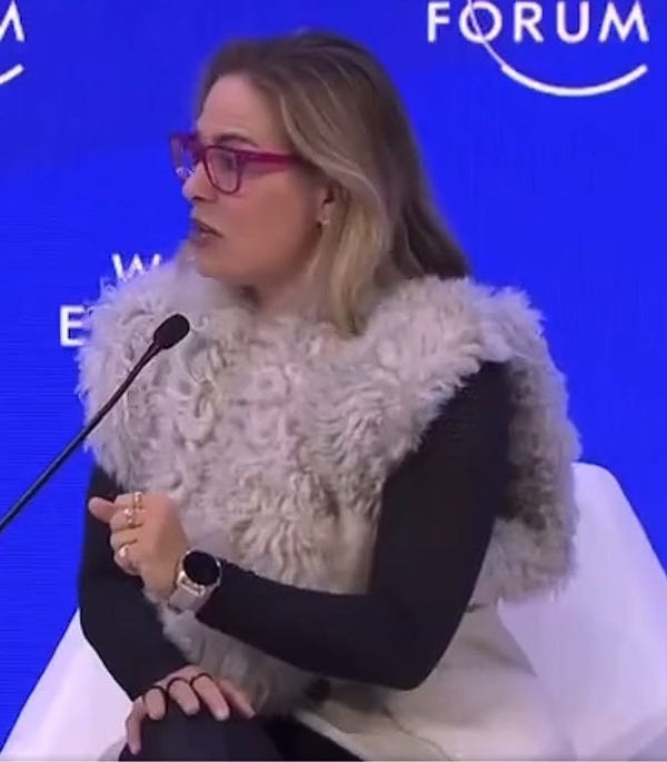 Kyrsten Sinema at Davos
