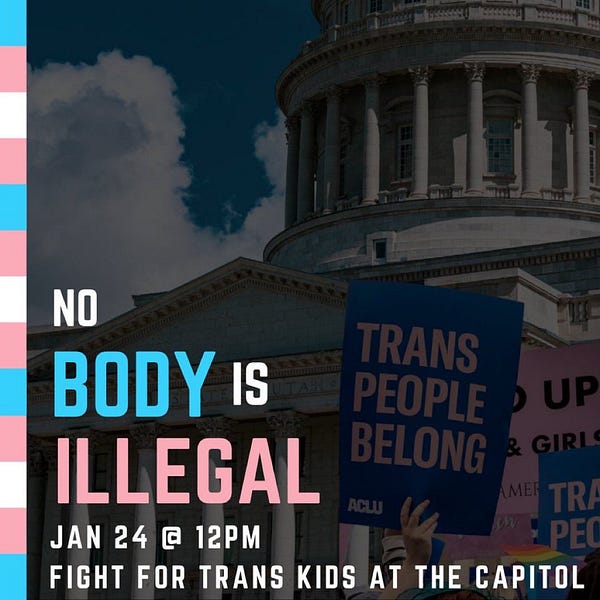 No body is illegal. Jan 24 at 12PM
Fight for trans kids at the capitol.