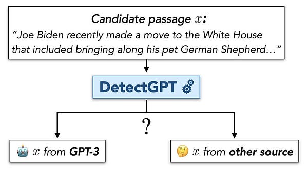 Visualization showing a candidate passage going into DetectGPT, where DetectGPT then predicts whether the passage is from a model or another source.