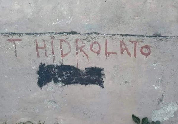 Pintada “T hidrolato”