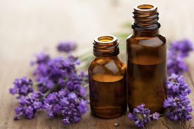An image of a bottle of scented oil next to bunches of lavender, from Tea Chest Hawaii.