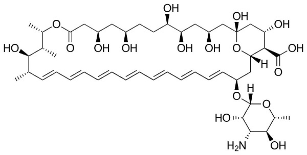 The chemical structure of amphotericin B, (1R,3S,5R,6R,9R,11R,15S,16R,17R,18S,19E,21E,23E,25E,27E,29E,31E,33R,35S,36R,37S)- 33-[(3-amino-3,6-dideoxy-β-D-mannopyranosyl)oxy]-1,3,5,6,9,11,17,37-octahydroxy-15,16,18-trimethyl-13-oxo-14,39-dioxabicyclo [33.3.1] nonatriaconta-19,21,23,25,27,29,31-heptaene-36-carboxylic acid