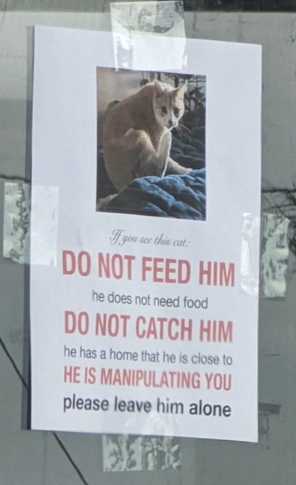 Picture of a cat with the text: "If you see this cat: DO NOT FEED HIM, he does not need food; DO NOT CATCH HIM, he has a home that he is close to; HE IS MANIPULATING YOU. Please leave him alone."