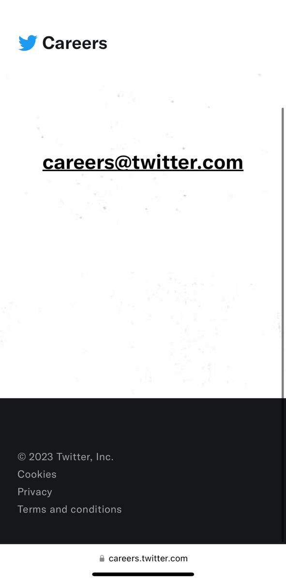A simple “careers@Twitter.com” on a blank white background. 