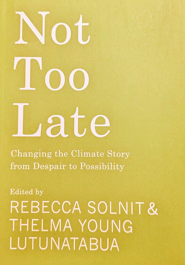 Book cover with a green background (the photography lighting washes out the color to be more lime colored)
Title "Not Too Late"
Changing the Climate Story from Despair to Possibility
Edited by Rebecca Solnit & Thelma Young Lutunatabua
