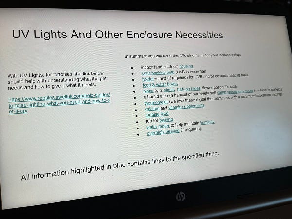 Tortoise PowerPoint presentation on HP laptop.