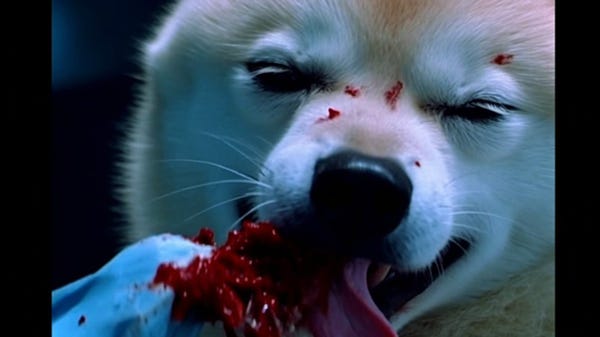 Evil doge eating a cute little blue bird, DVD screengrab from the movie "The Dawn of Twitter" by George A. Romero, --ar 16:9 --v 5